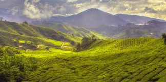 طرشت را بشناسیم5 (1)