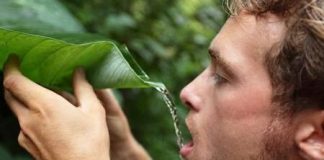 چند روز بدون آب و غذا زنده می مانیم ؟5 (1) چند روز بدون آب و غذا زنده می مانیم ؟