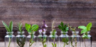 19 گیاه آپارتمانی که در شیشه آب و بدون خاک هم رشد می کنند3 (2) گیاه آپارتمانی که در شیشه آب و بدون خاک هم رشد می کنند