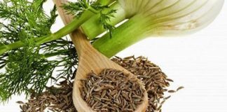 تمام خواص و عوارض استفاده از رازیانه0 (0) تمام خواص و عوارض استفاده از رازیانه