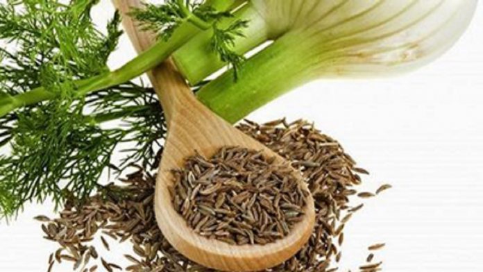 تمام خواص و عوارض استفاده از رازیانه