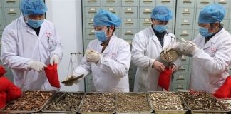 بهترین توصیه های طب سنتی برای مقابله با بیمارهای ویروسی0 (0) بهترین توصیه های طب سنتی برای مقابله با بیمارهای ویروسی