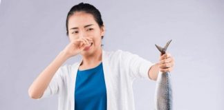 چگونه بوی بد ماهی را در آشپزخانه فوری از بین ببریم ؟0 (0) چگونه بوی بد ماهی را در آشپزخانه فوری از بین ببریم ؟