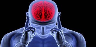 تقویت فوری و تضمینی اعصاب با این میوه ی خوشمزه0 (0) تقویت فوری و تضمینی اعصاب