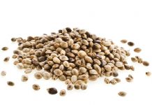 طبع، خواص، مضرات و مُصلح شاهدانه طبع، خواص، مضرات و مُصلح شاهدانه