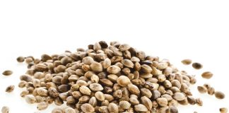 طبع، خواص، مضرات و مُصلح شاهدانه0 (0) طبع، خواص، مضرات و مُصلح شاهدانه