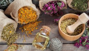 نام 4 داروی گیاهی کرونا که مجوز گرفتند 