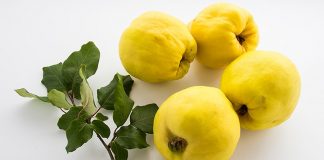 فواید و عوارض میوه ” به ” بر سیستم ایمنی بدن0 (0) فواید و عوارض میوه " به " بر سیستم ایمنی بدن