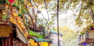 مکان های دیدنی تهران در شروع فصل پاییز کجاست؟!5 (2)