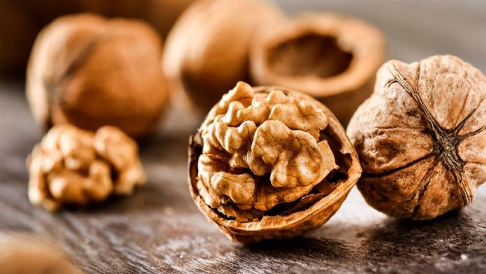 خواص جادویی و باورنکردنی گردو برای سلامتی بدن