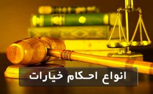 انواع خیارات 