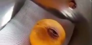 فیلم کامل پرتقالی که با یک چشم گریه می کند !5 (1) فیلم کامل پرتقالی که با یک چشم گریه می کند !