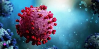 موج بعدی کرونا بهمن ماه یا اسفند ماه ؟0 (0) موج بعدی کرونا بهمن ماه یا اسفند ماه ؟