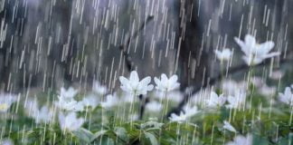 پیش بینی بارش برف و باران سراسر کشور دوشنبه 29 دی 99 تا پایان هفته2 (1) پیش بینی بارش برف و باران سراسر کشور در اردیبهشت 1400