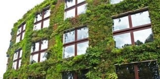 نمای بیرونی ساختمان و تزئین آن ها با گل و گیاه طبیعی!5 (1)