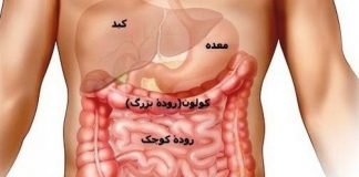 نشت روده | علائمی که می گویند نشت روده دارید0 (0) نشت روده