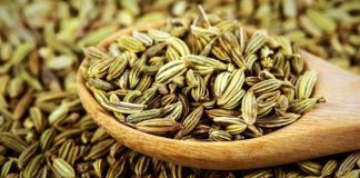 کاهش وزن با زیره | چگونه با زیره لاغر شویم ؟0 (0) کاهش وزن با زیره | چگونه با زیره لاغر شویم ؟