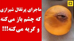 فیلم کامل پرتقالی که با یک چشم گریه می کند !