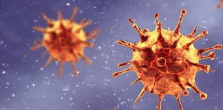 ژن نئاندرتال شمشیر ۲ لبه در برابر کووید-۱۹5 (1) بیکاری کرونا