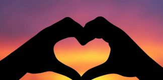 باید ها و نباید های عشق0 (0) باید ها و نباید ها روابط عاشقانه