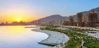 سرمایه گذاری پر سود، منطقه 225 (1) سرمایه گذاری در منطقه 22