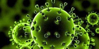 تمدید قرارداد اجاره در دوران کرونا چه شرایطی دارد؟4.7 (3) اجاره خانه در دوران کرونا