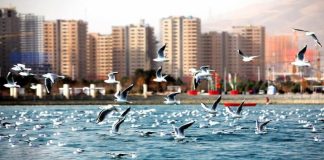 بررسی کیفیت آب و هوای منطقه 22 تهران0 (0) بررسی کیفیت آب و هوای منطقه 22 تهران