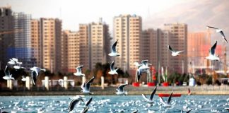 سرمایه گذاری ملکی در دریاچه چیتگر0 (0) سرمایه گذاری ملکی در دریاچه چیتگر