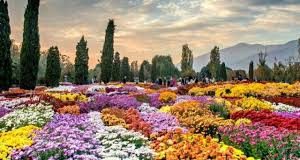 معرفی باغ گیاه شناسی در منطقه ٢٢0 (0) معرفی باغ گیاه شناسی در منطقه ٢٢